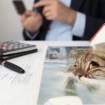 Como conseguir financiamento
